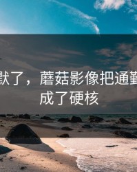 看完沉默了，蘑菇影像把通勤路上拍成了硬核
