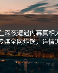 当事人在深夜遭遇内幕真相大白，蜜桃传媒全网炸锅，详情速看