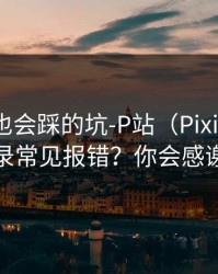 老用户也会踩的坑-P站（Pixiv）｜网页登录常见报错？你会感谢自己