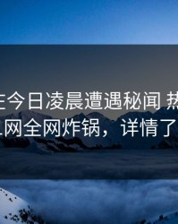神秘人在今日凌晨遭遇秘闻 热血沸腾，91网全网炸锅，详情了解