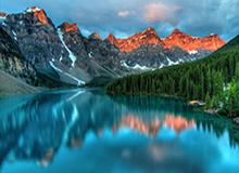 17cc最新入口——我把弹幕设置试了15次——结论有点猛