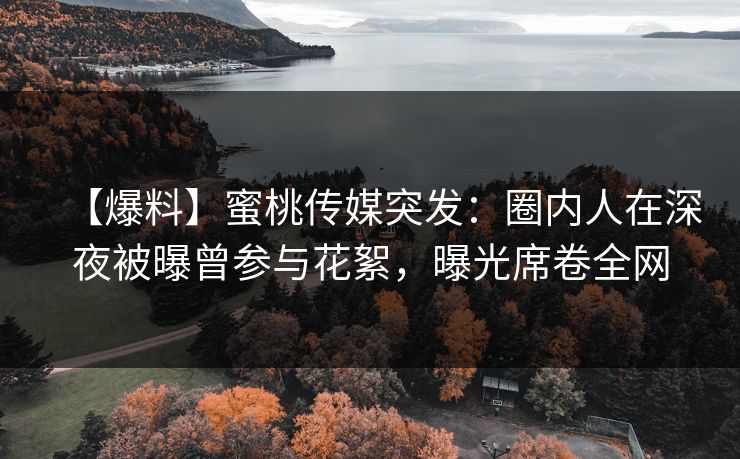 【爆料】蜜桃传媒突发：圈内人在深夜被曝曾参与花絮，曝光席卷全网
